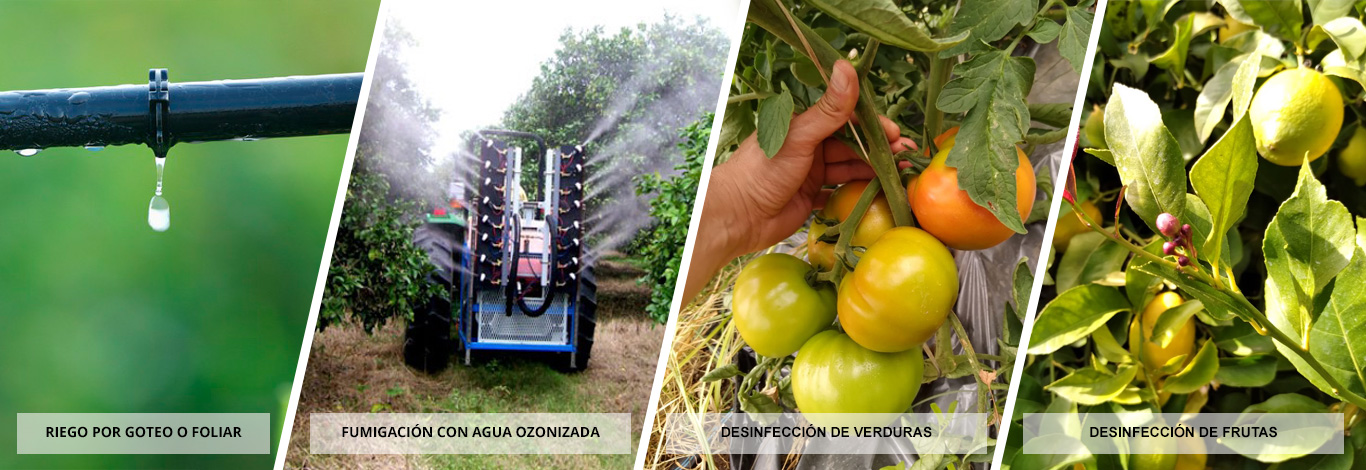 ozono para uso agricola con ozonotecnia